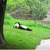 Thumb_430069_460s