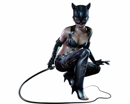 Medium_catwoman-in-the-videogame-catwoman-the-movie-23564408-1024-819