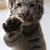 Thumb_img_0531