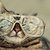 Thumb_324365_10150472345937550_163682877549_8892874_179043951_o