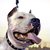 Thumb_59958_1559853793074_1137167251_1576392_1010296_n