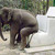 Thumb_elephant_seat-14069