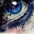 Thumb_125106.1992357