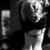 Thumb_383077_327152650635974_1882092290_n