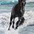 Thumb_319138_262168260472267_169357456420015_809523_215521263_n