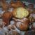 Thumb_548753_498933586802016_1088197241_n