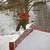 Thumb_snowboard