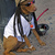 Thumb_medium_rasta-dog