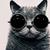 Thumb_311060_1936553307614_1655811698_1541193_668772427_n