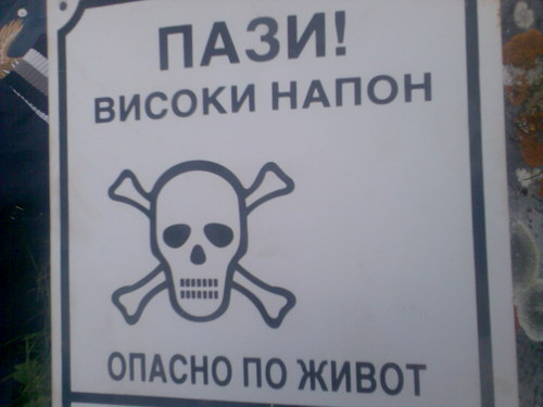 Medium_slika042