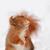 Thumb_403455_349585465138410_829584942_n