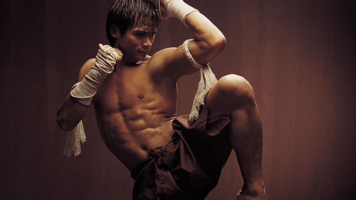 Medium_tony_jaa_4003-1