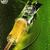 Thumb_602980_296567907106570_1641735963_n