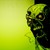 Thumb_hello-door-green-head-red-eyes-zombie-hello-scary-horror-1280x960