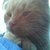 Thumb_1351003791236