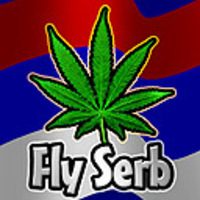 Macka mala pregazena