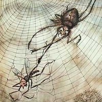 Spider-And-The-FLy
