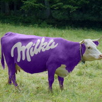 Milkica!!