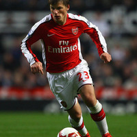 andrey.arshavin