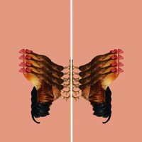 свjecна свега