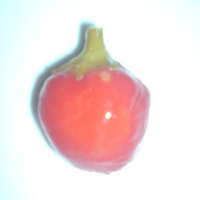 Zdravo, ja se zovem.