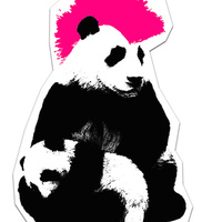 punk.panda