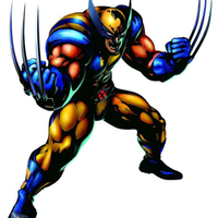 Wolverine92