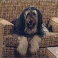 склон к лагању .95