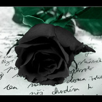 BlackRose