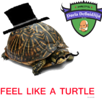 turtleboy