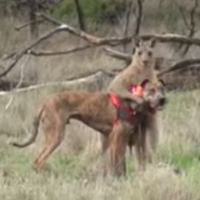 watch the sun come u