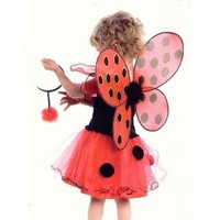 ladybug