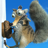 ВеверицаСаФлашом