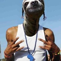 Сидрашевић