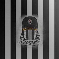 Partizan se Voli