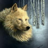 WhiteWolfMM