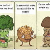 Српскикењатор