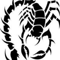 ~ScorpioN~