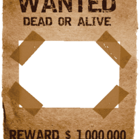Wanted