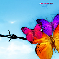 butterfly efect