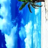 Здравко Дрен