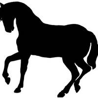 Ждрепчева Сврш