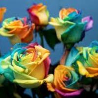 некад' добро дијете