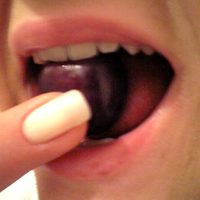 visnjaSukusomTresnje