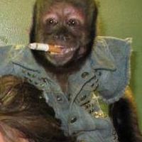 Бурек Обема