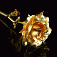 goldenrose