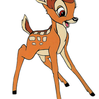 BamBi.