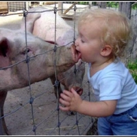 Свињољубац