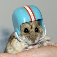 oklopnoblindirani_ve