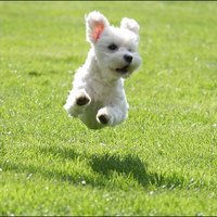 Не занима те.